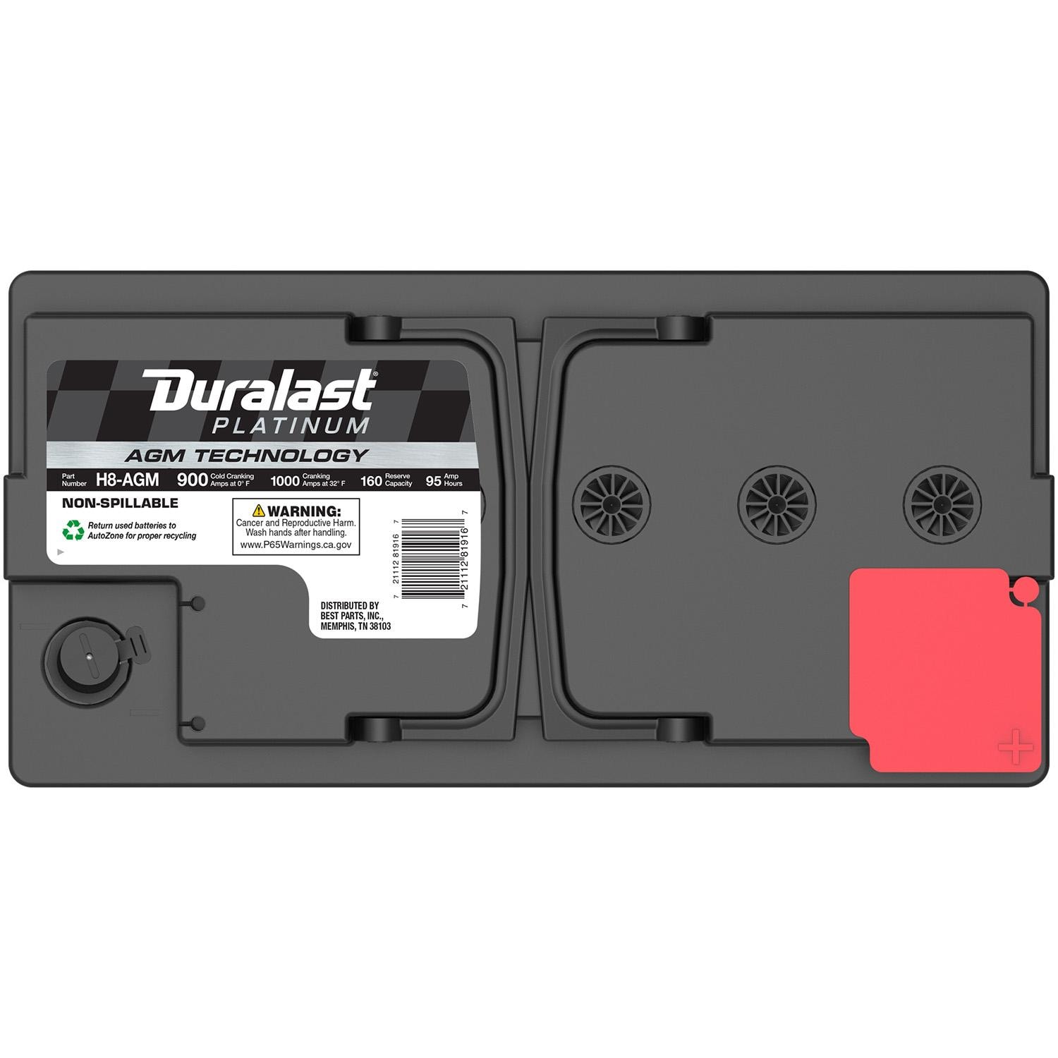 Duralast Platinum Group Size 49 / H8 Absorbed Glass Mat (AGM) Battery H8-AGM