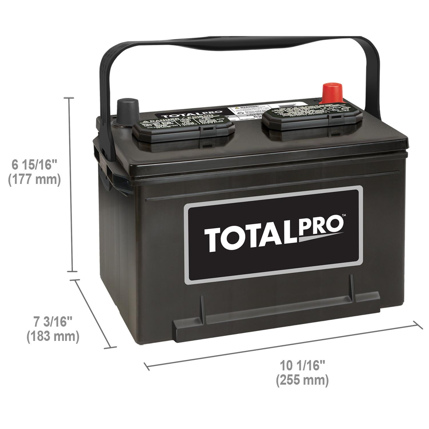 TotalPro Group Size 58 Battery 58-T | AutoZone