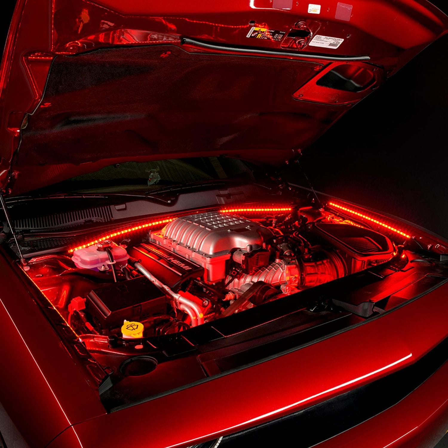 オートゾーン　ヘッドライト左右 Oracle Lighting ColorSHIFT RGB Engine Bay 5050 SMD Kit | AutoZone