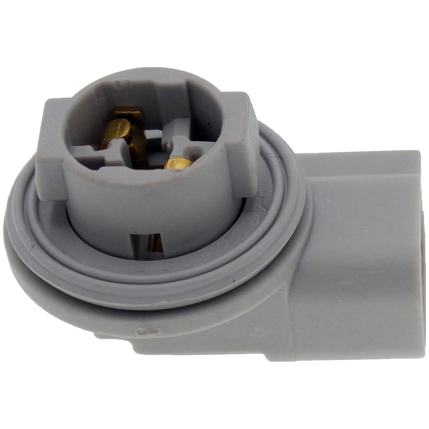 Dorman - TECHoice License Plate Light Socket 645-179 | AutoZone