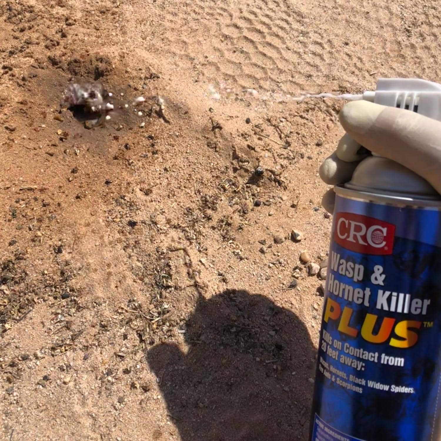 CRC Insect Spray 14010 | AutoZone