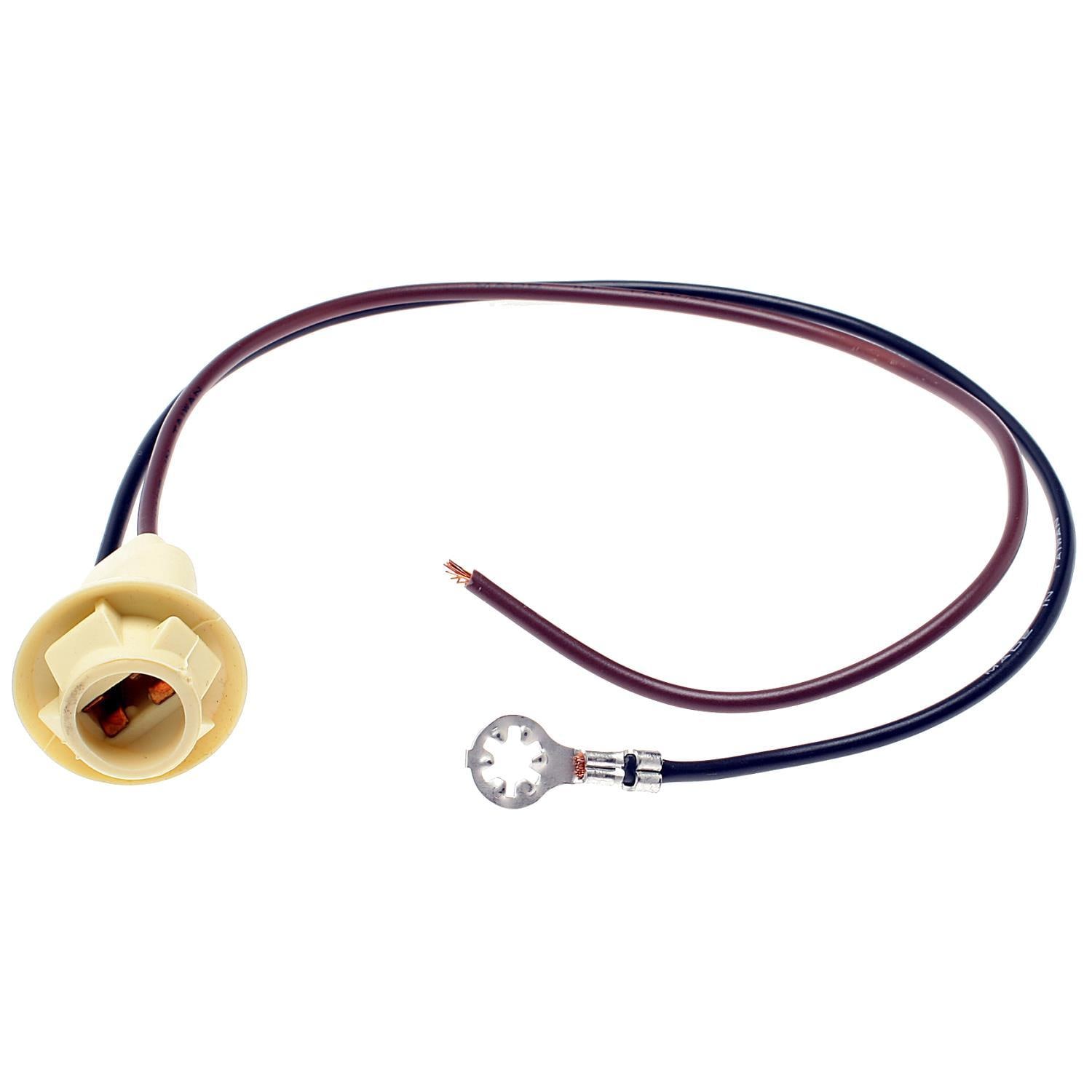 hasu38 暖色 バレル ライトソケット セット Duralast Light Bulb Socket 310 | AutoZone