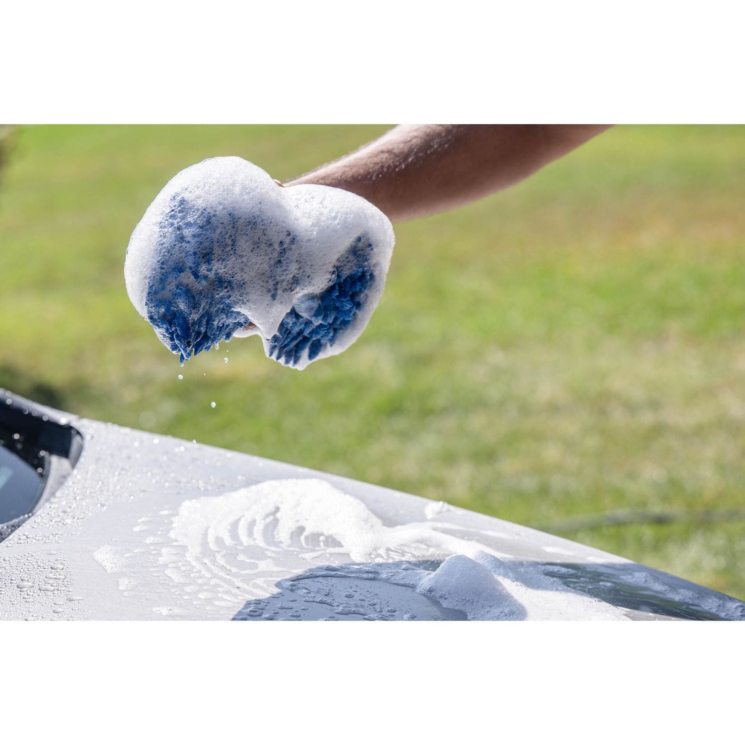 ProElite Microfiber Sponge with Scrubber