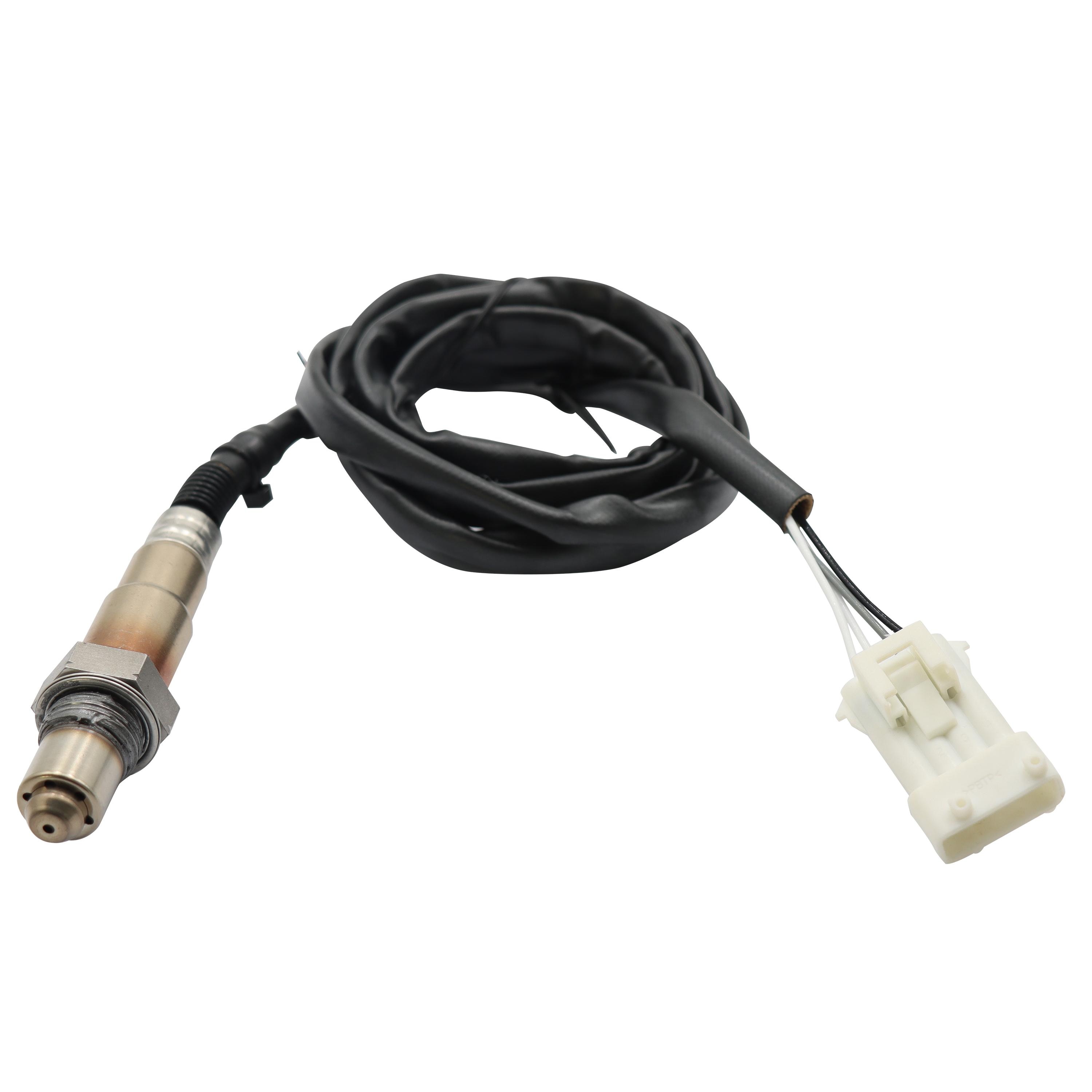 Duralast Oxygen Sensor DL831-0404 | AutoZone
