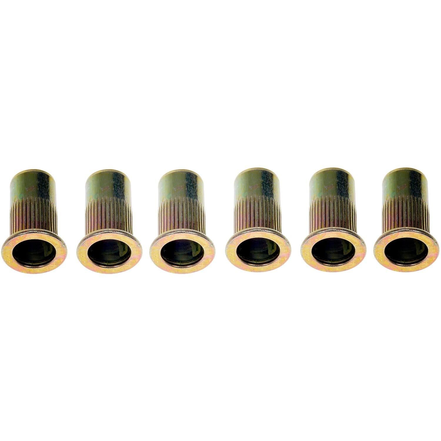 Dorman M8 Rivet Nut | AutoZone
