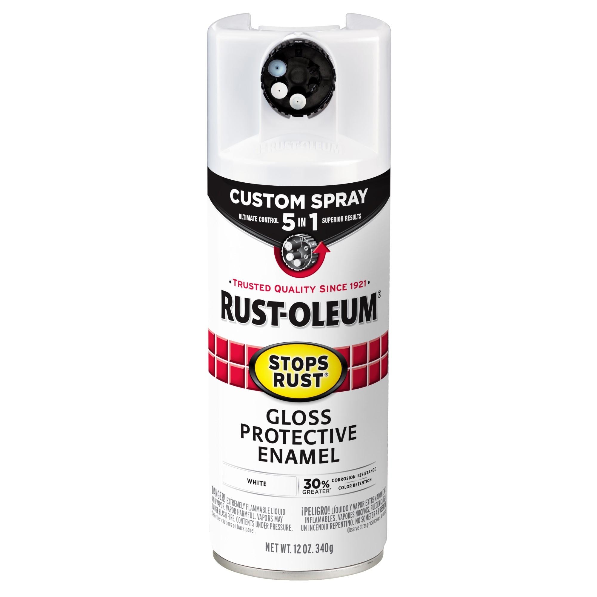 Rust-Oleum Spray Paint 376886 for Nissan Versa