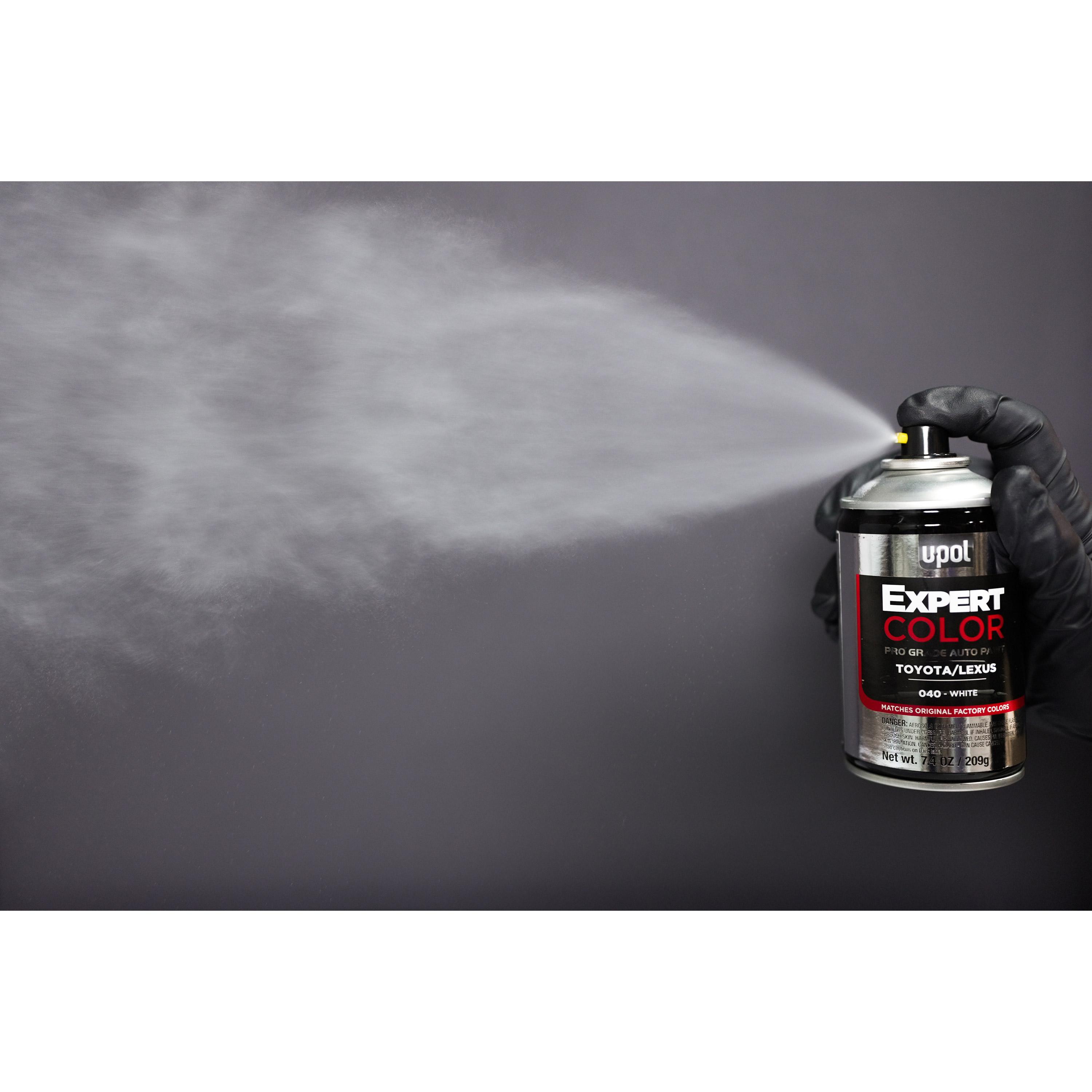 U-POL Expert Color Touch Up Paint Silver Sky Paint Code 1D6 | AutoZone