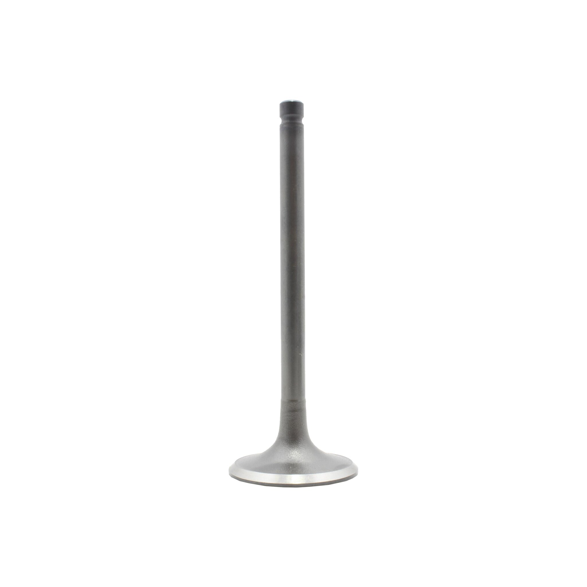 DNJ Engine Intake Valve IV629 | AutoZone