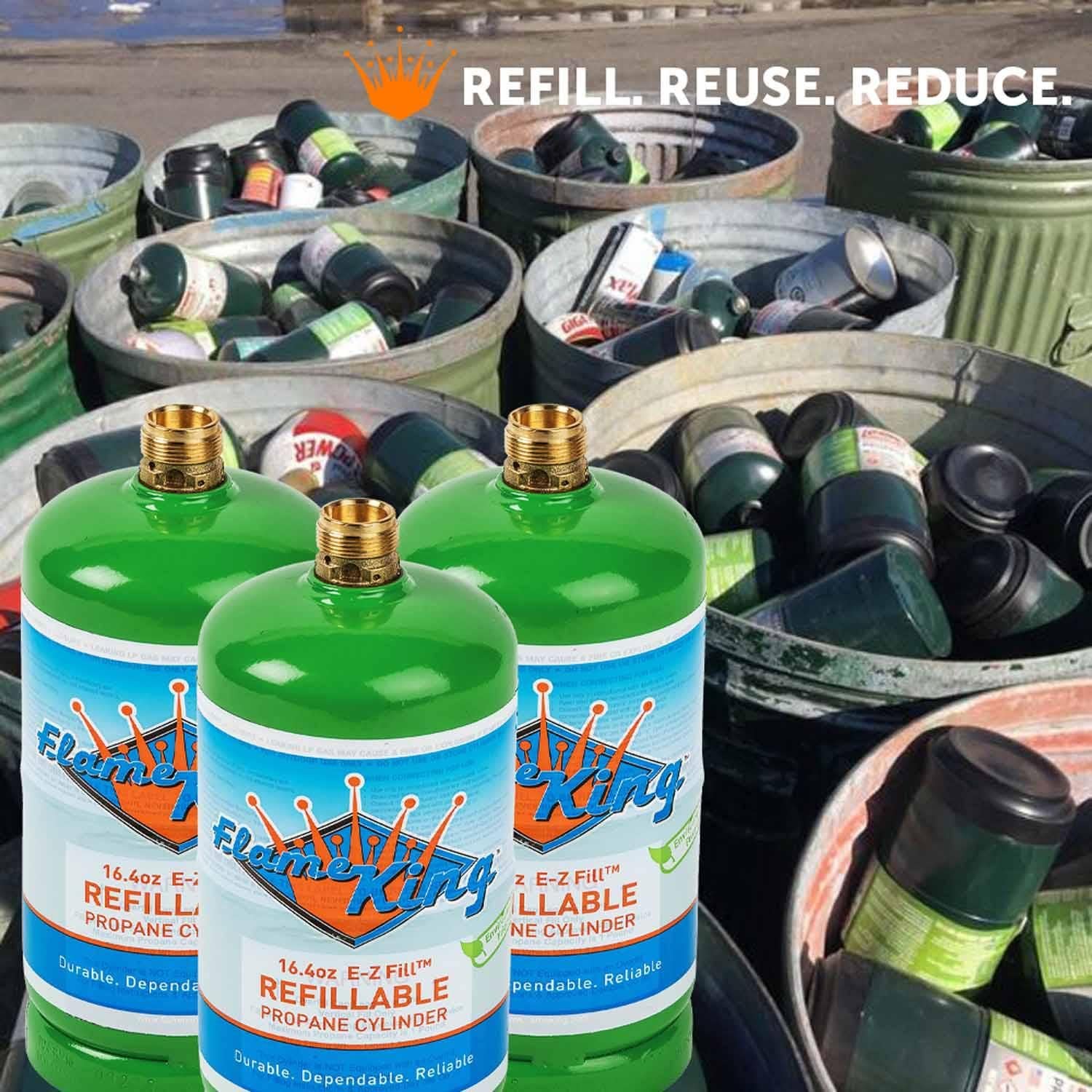 FLAME KING Liquid Propane Gas (LPG) Fuel Tank FLMKNG164LP | AutoZone