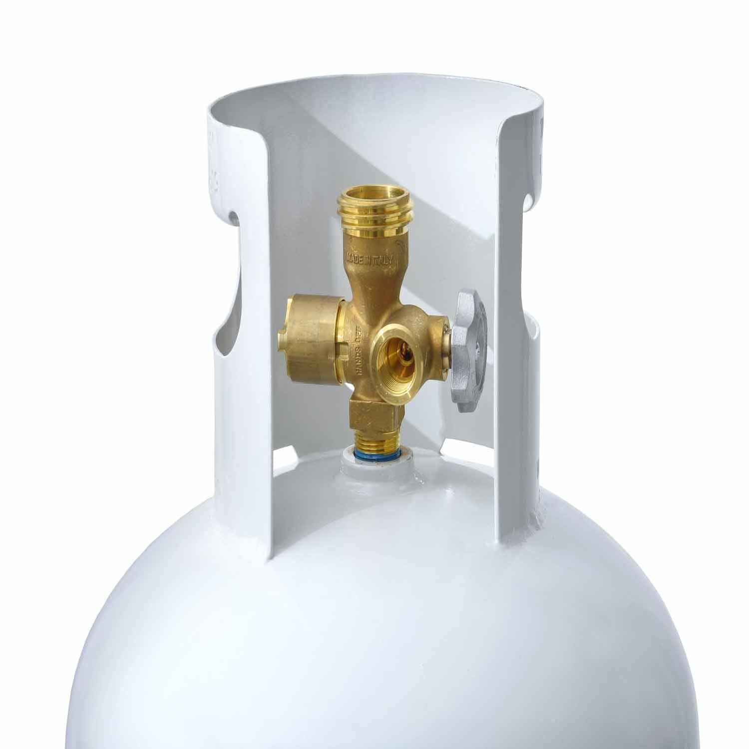 FLAME KING Liquid Propane Gas (LPG) Fuel Tank YSN100MLT-1 | AutoZone