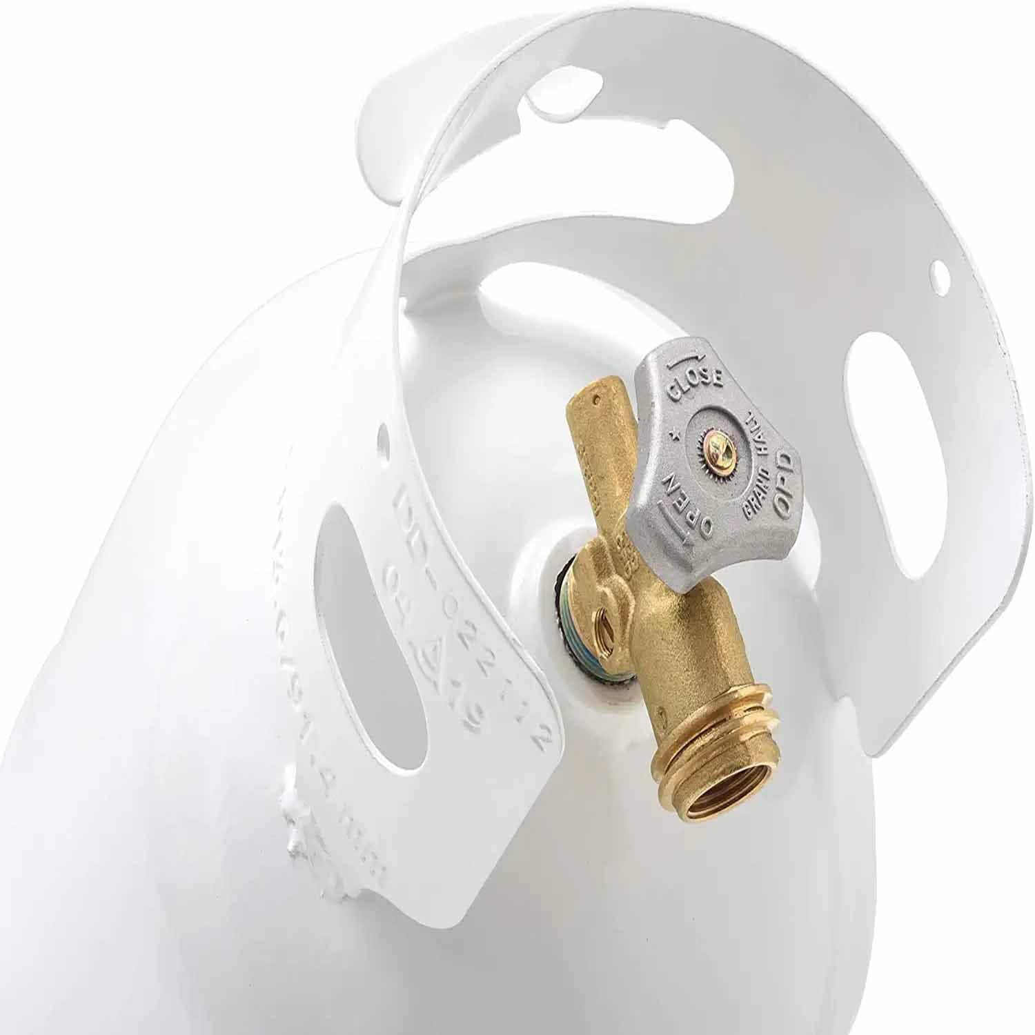 FLAME KING Liquid Propane Gas (LPG) Fuel Tank YSN10LB | AutoZone