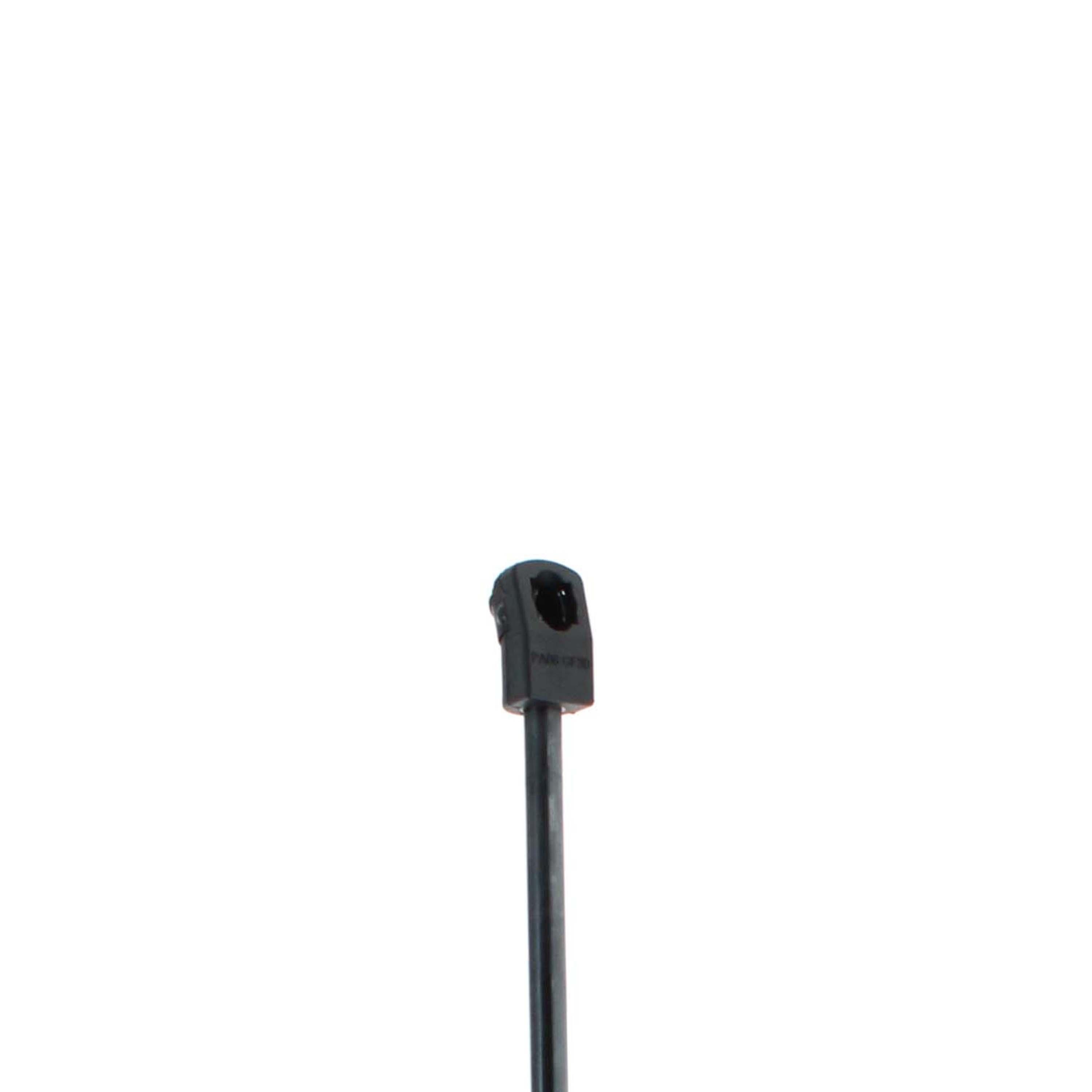 Duralast Multi-Purpose Lift Support DL12415A | AutoZone