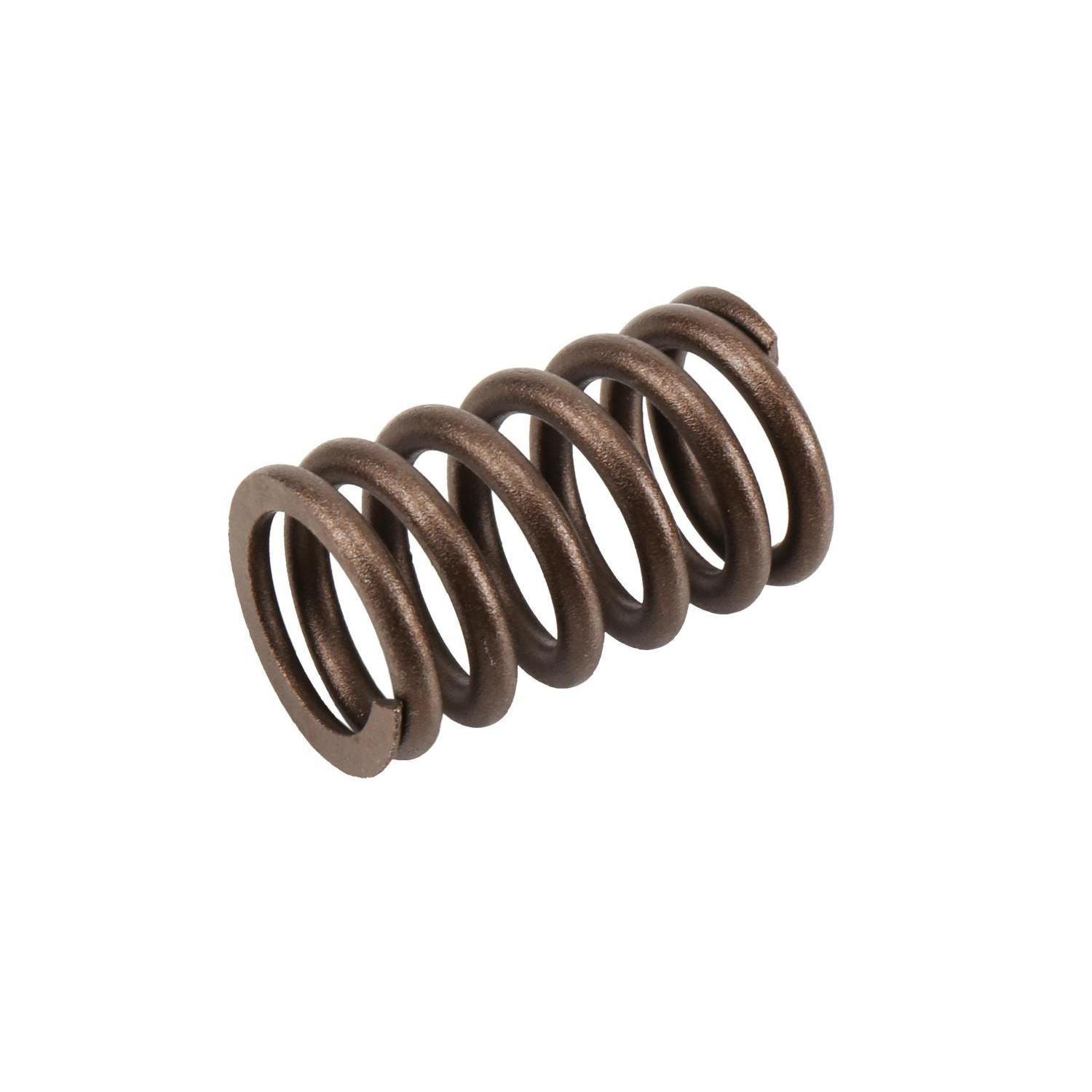 GM Genuine Parts Engine Valve Spring 10212811 for Ford Explorer Sport Trac