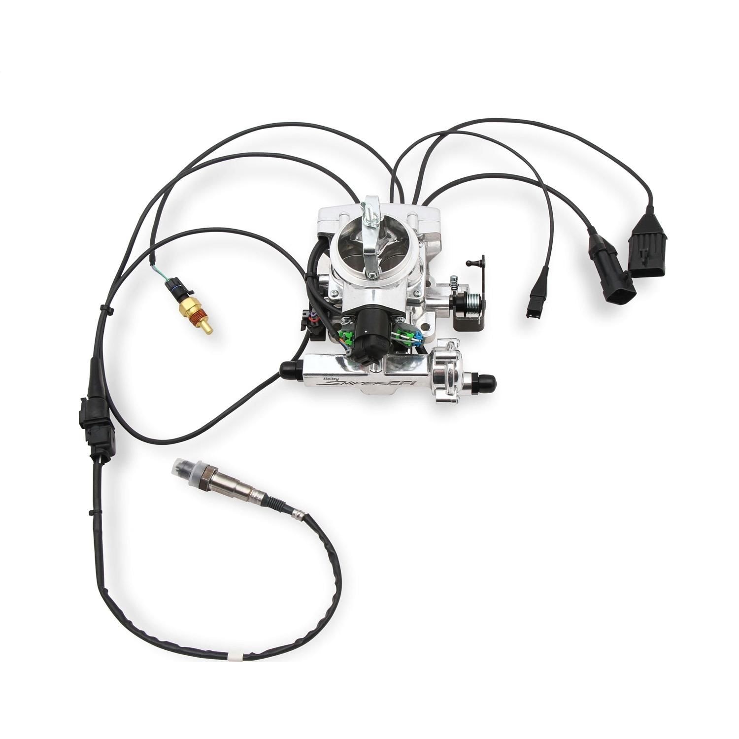 Holley Fuel Injection Conversion Kit 550-858 | AutoZone