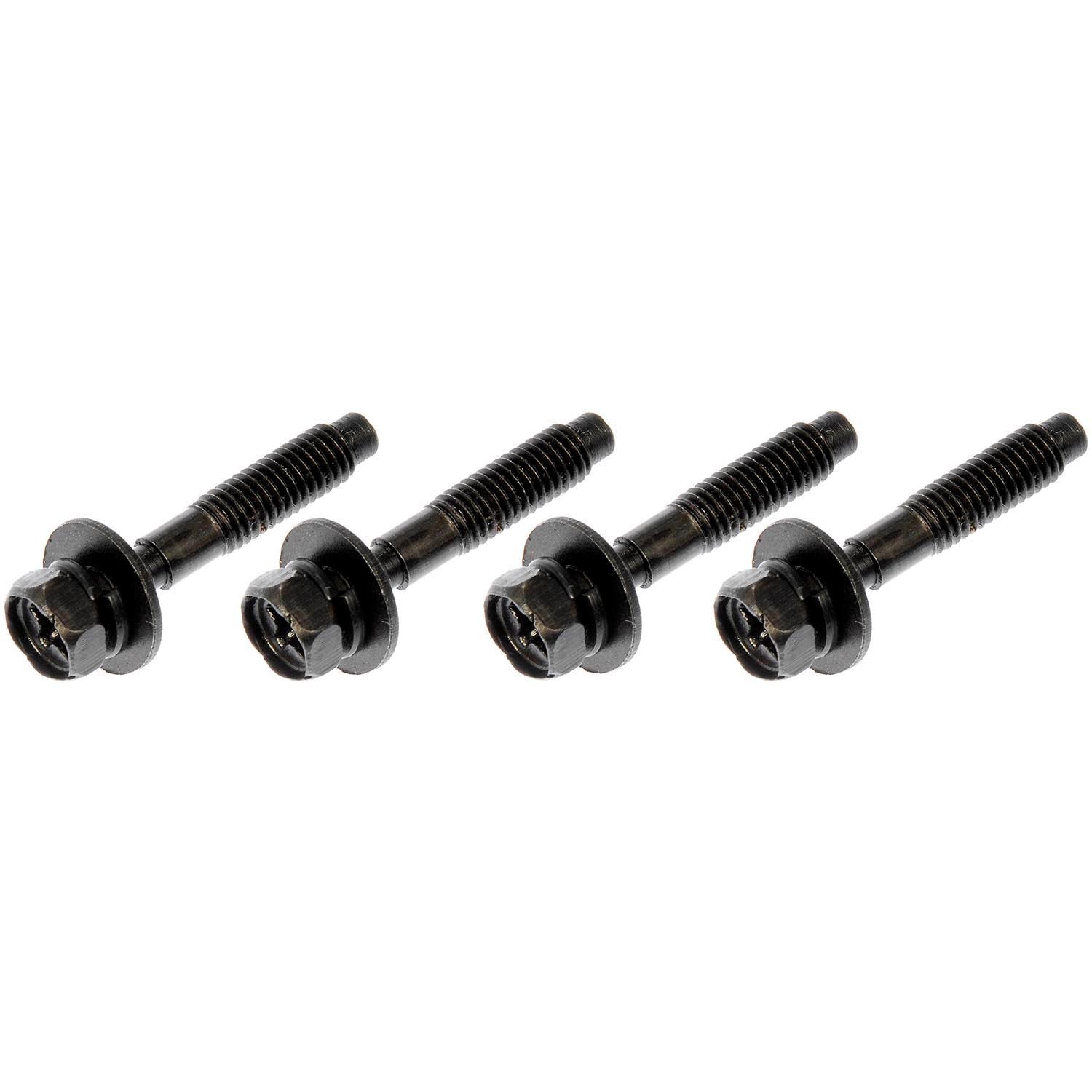 【ハイブリッド】アグリアス×プレポナ（メス、ペルー産） Dorman Air Cleaner Fastener 41085 | AutoZone