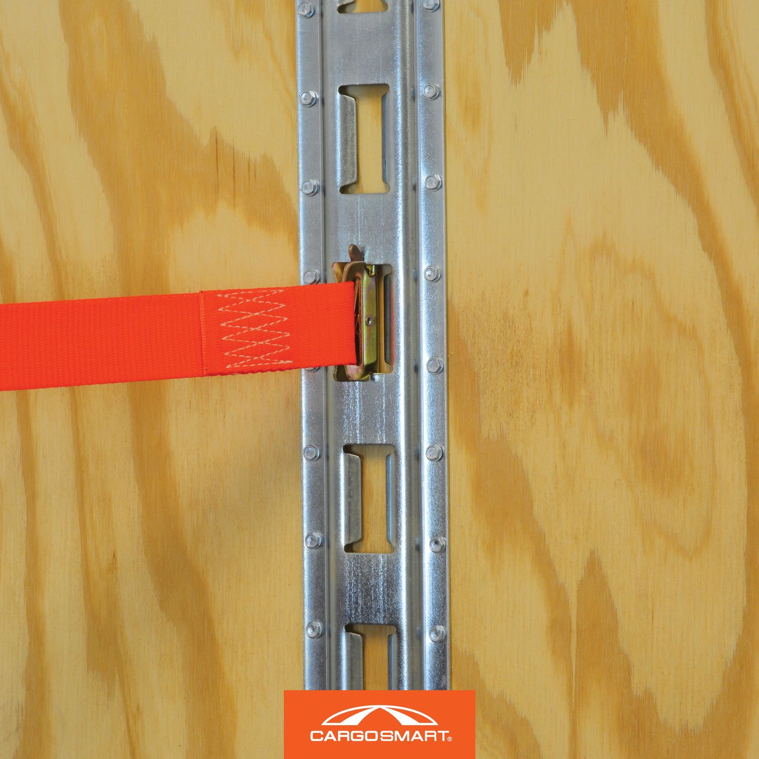 CargoSmart 60in E Track Vertical | AutoZone