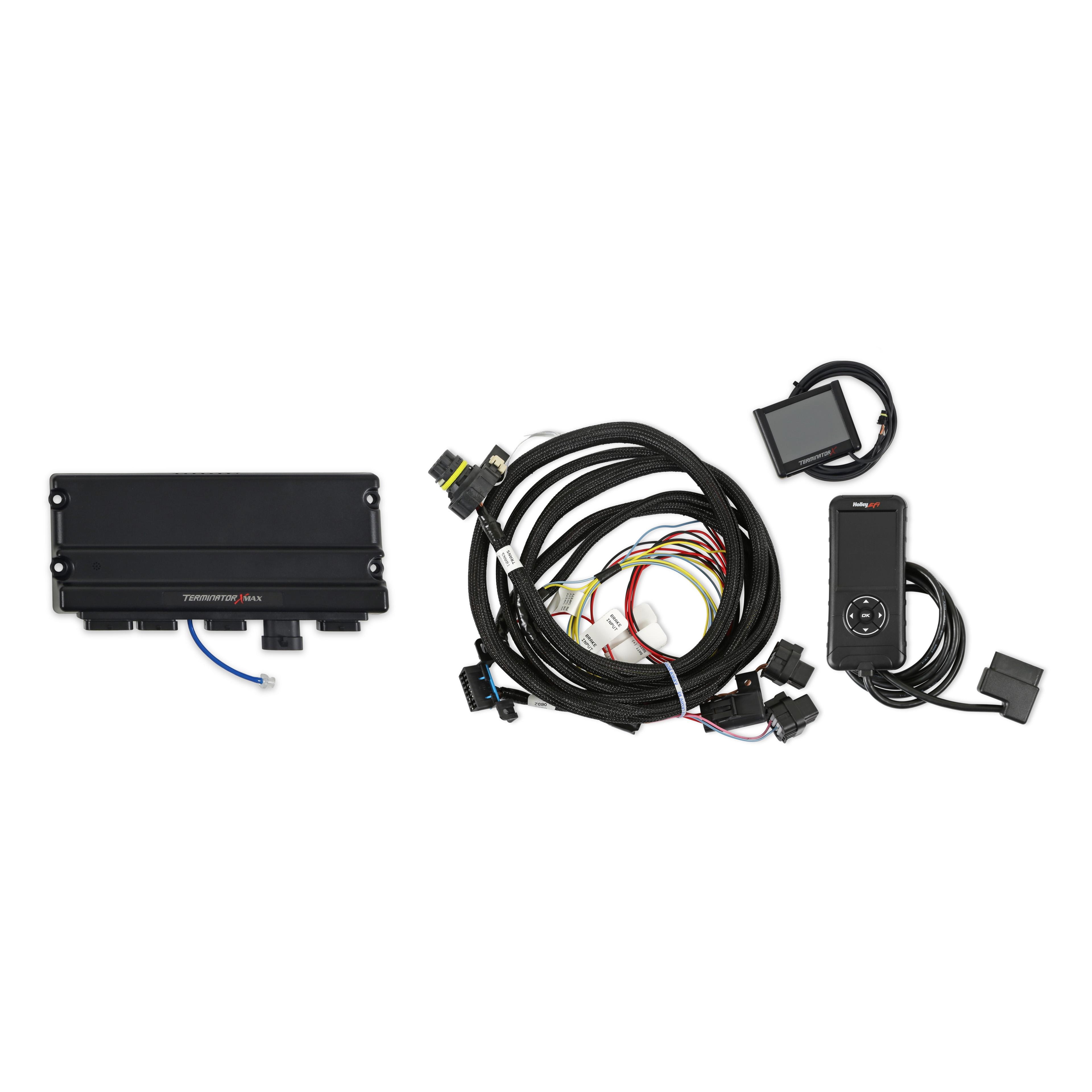 Holley EFI Powertrain Control Module (PCM) 550-928-6 | AutoZone