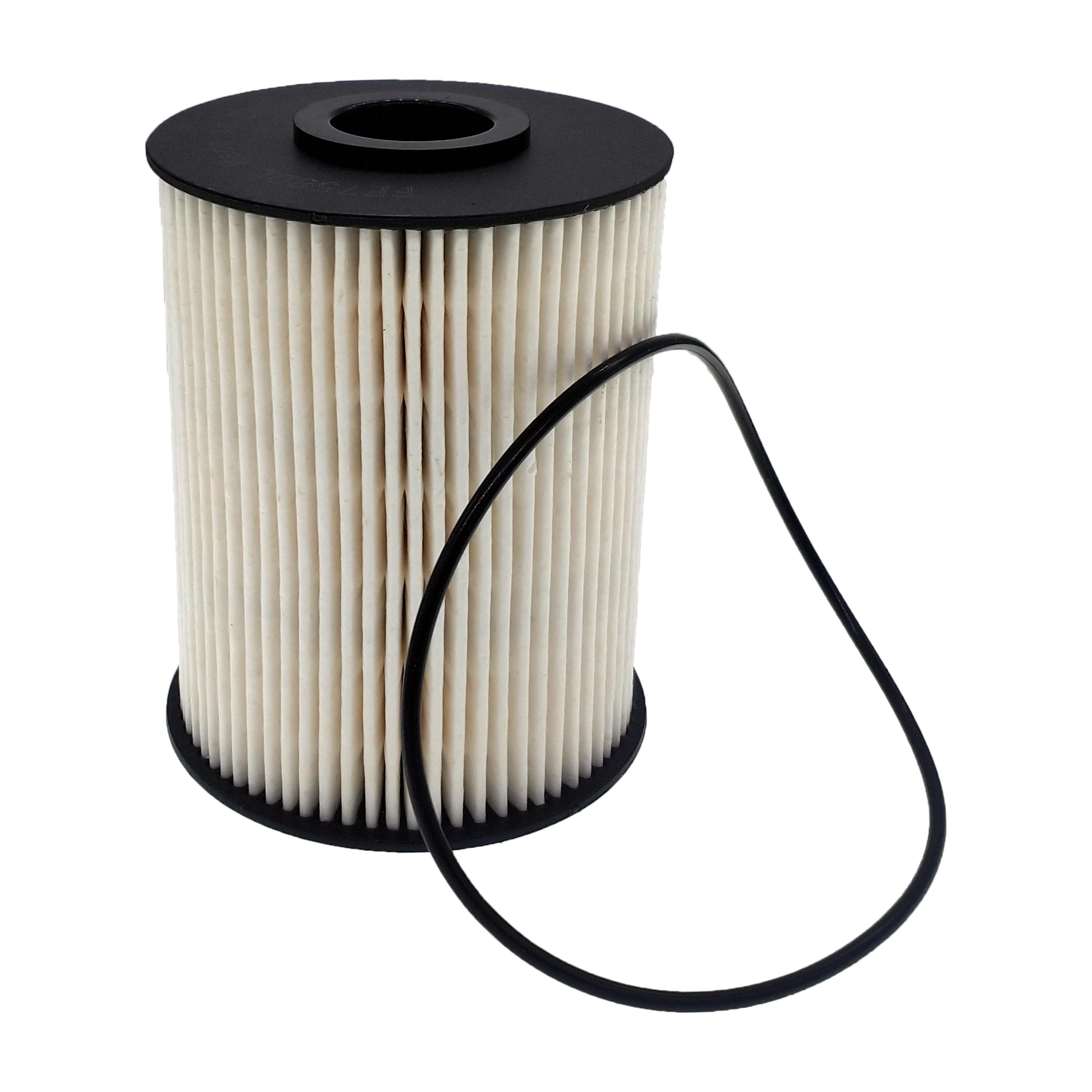 Duralast Fuel Filter FF758DL | AutoZone