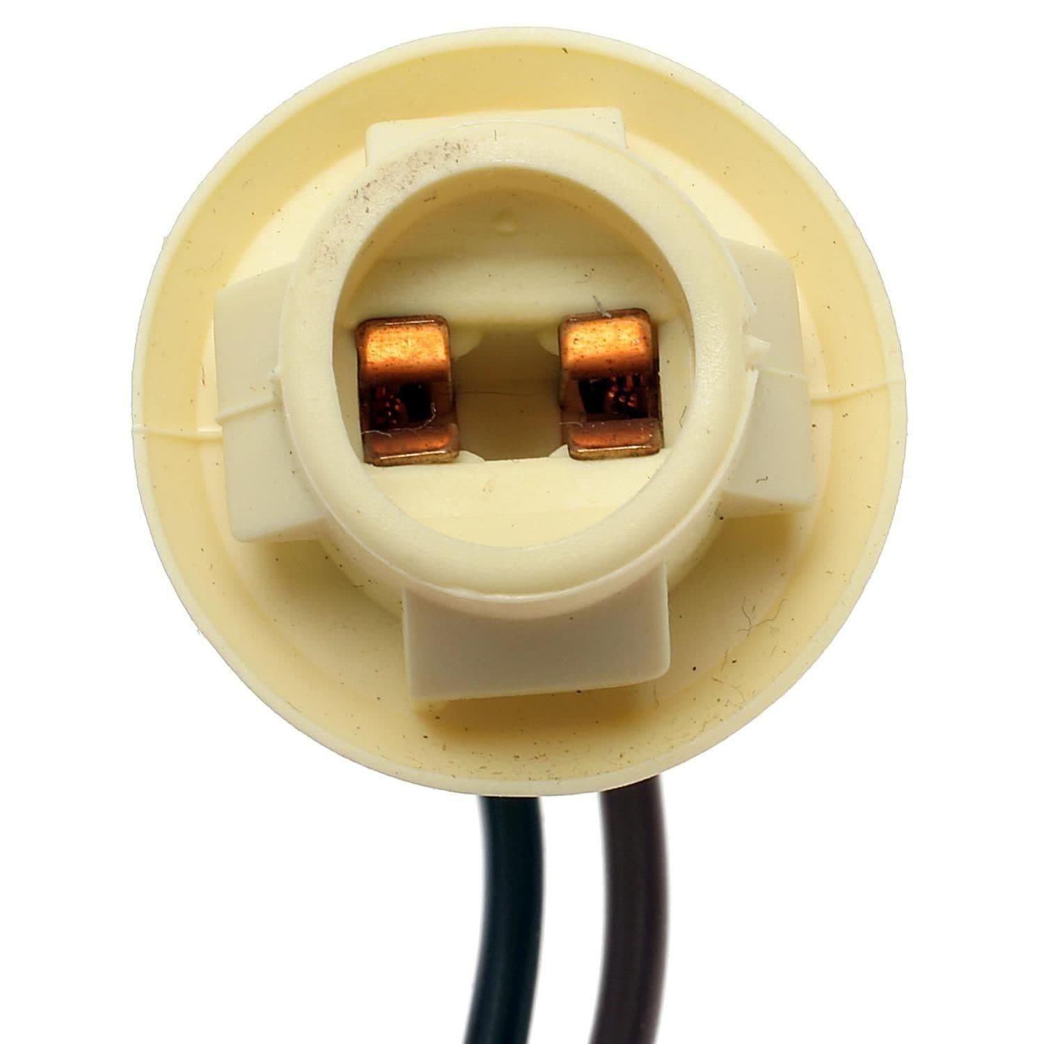 ACDelco License Plate Light Socket LS247 | AutoZone