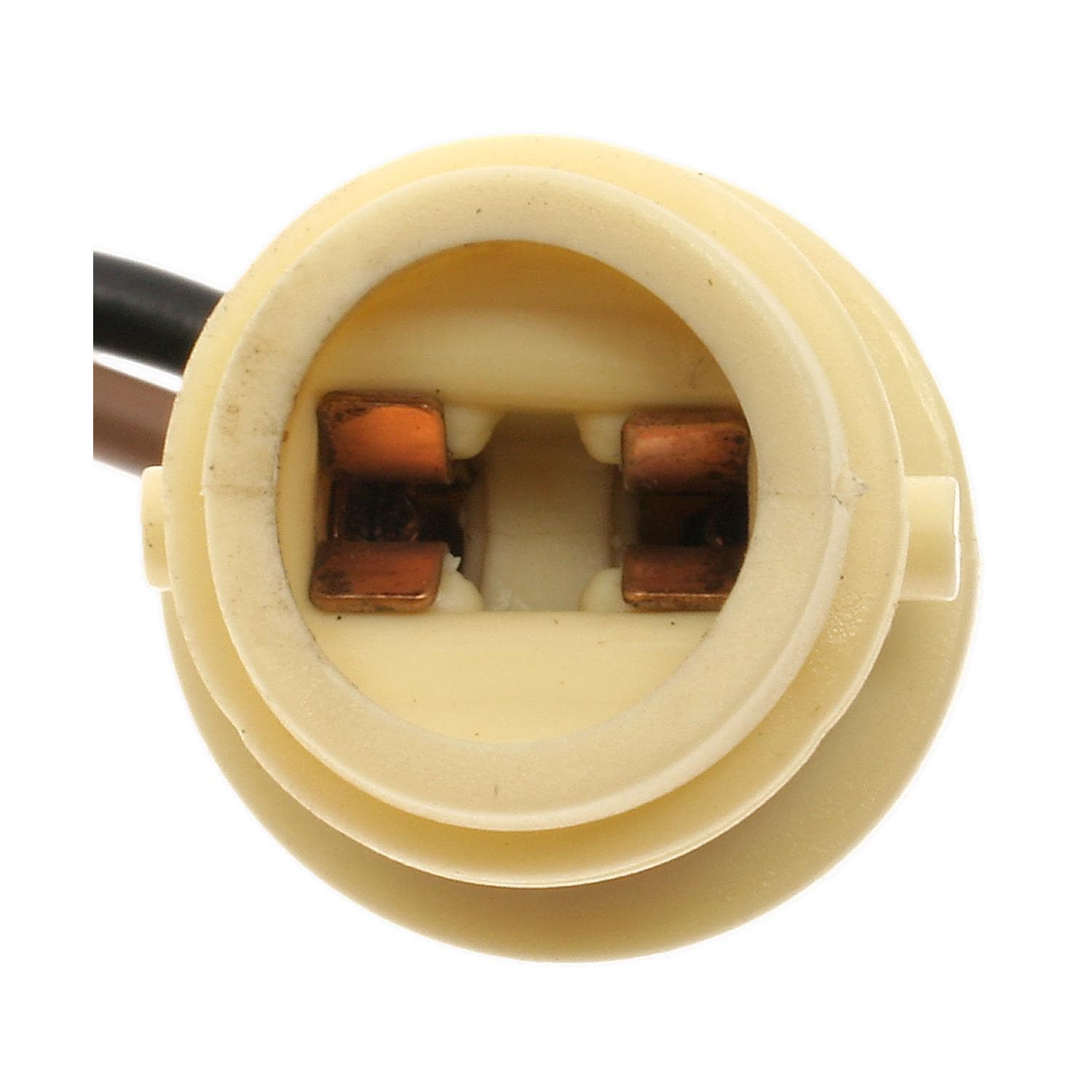 Duralast Marker Light Socket 449 | AutoZone