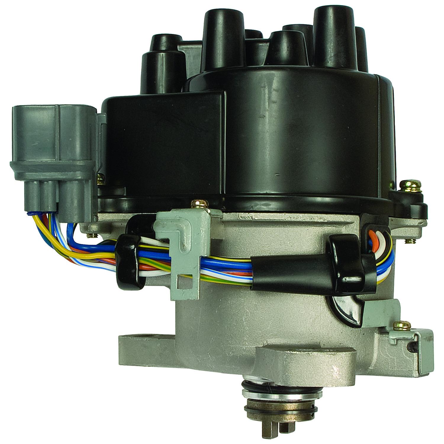ティンカーベル　エンチャンテッド Duralast Gold Distributor ADLG-TD85 | AutoZone