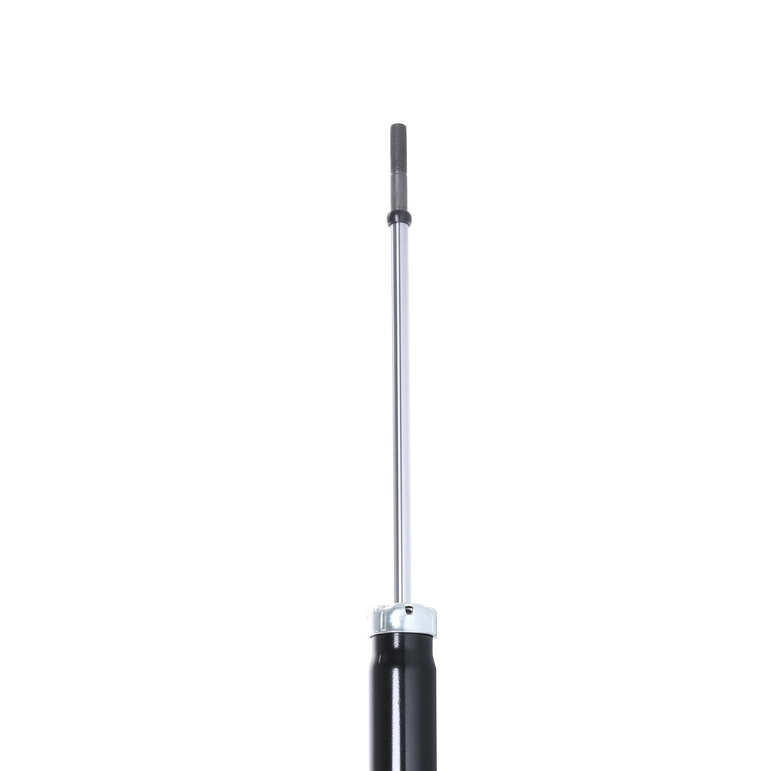 Duralast Strut TS33-34912B | AutoZone