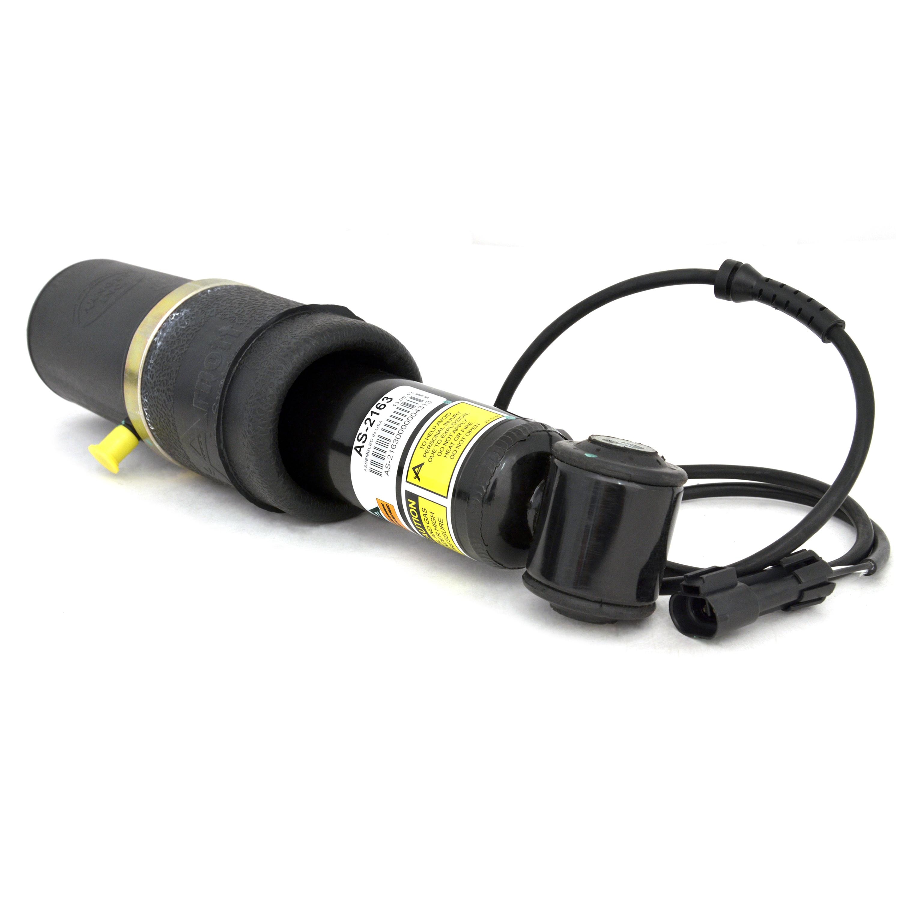 Arnott Industries Suspension Shock Absorber AS-2163 | AutoZone