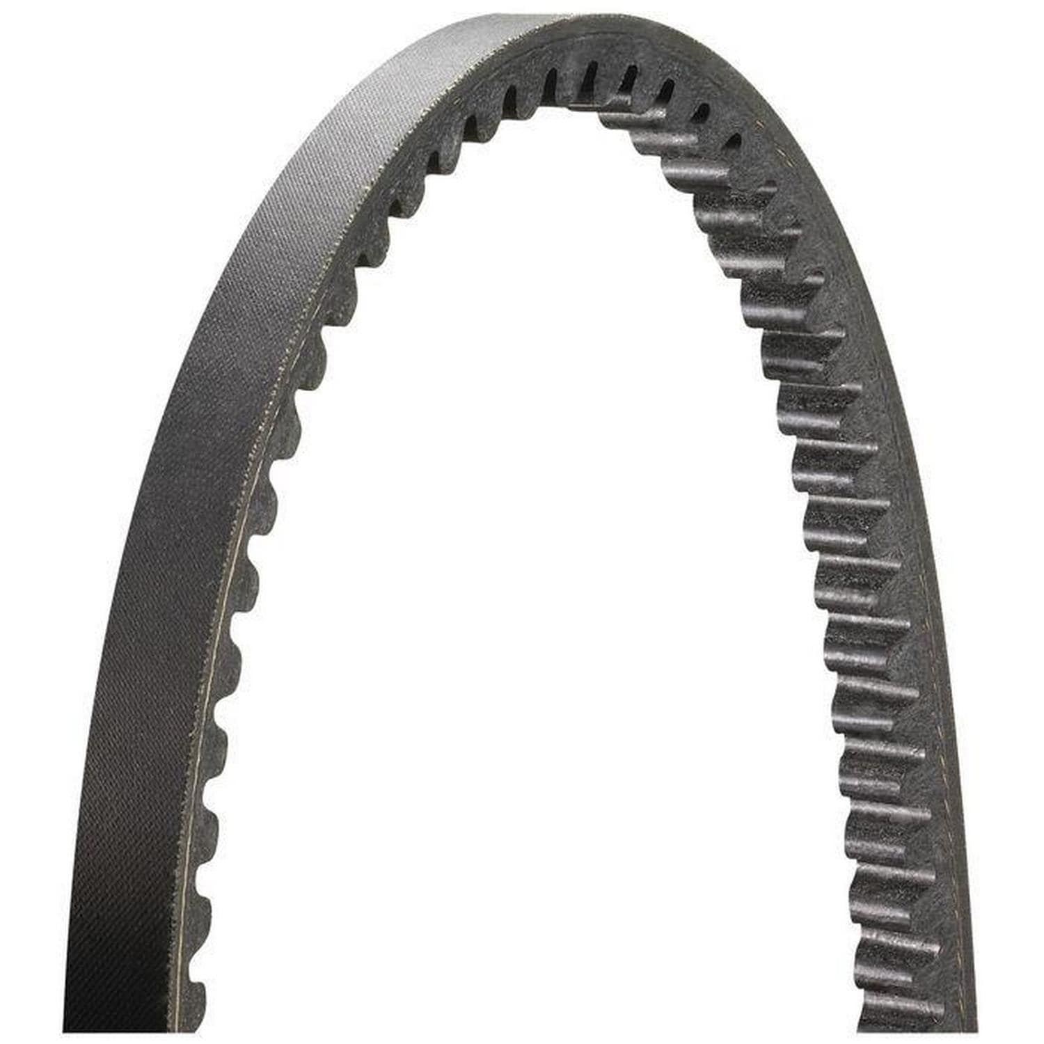 Duralast 36.00 in Accessory Drive Belt 15360 | AutoZone