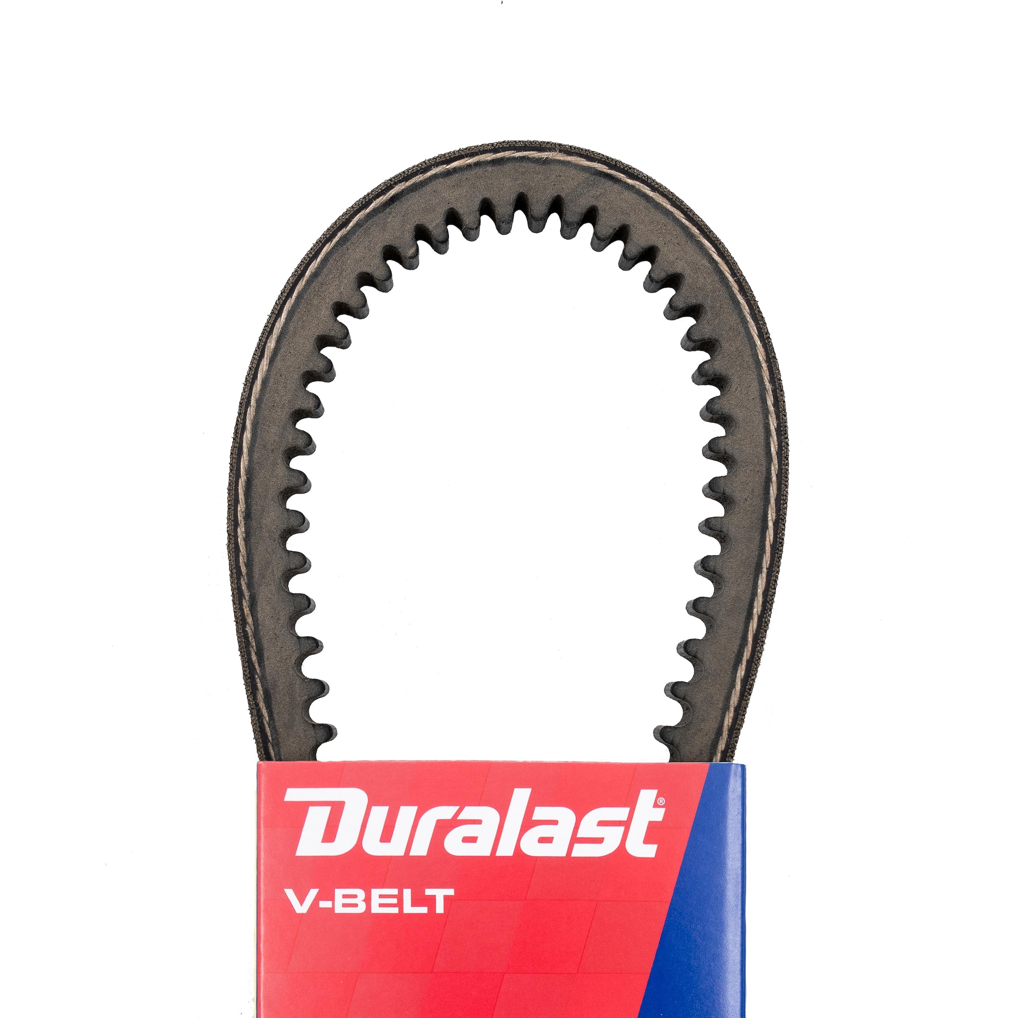 Belt 3686355 Accessory Drive Belt 3VX355 | AutoZone