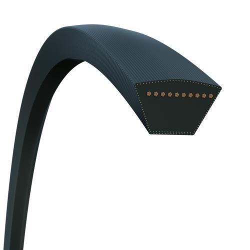 Accessory Drive Belt B166